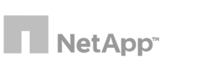 NetApp logo
