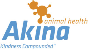 Akina logo for branding new division